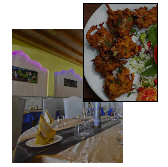 Punjab Palace Indian Restaurant Mijas Costa Indian Restaurant Mijas